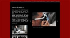 Desktop Screenshot of josechudavila.com